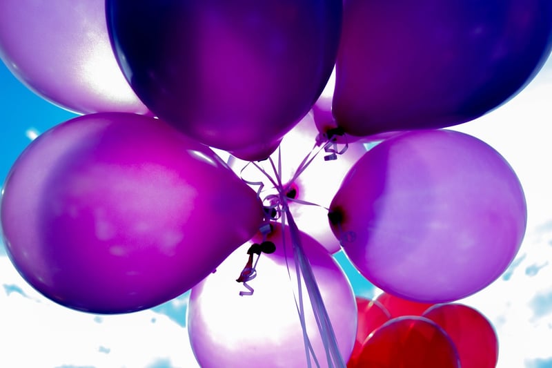 Birthday Celebration