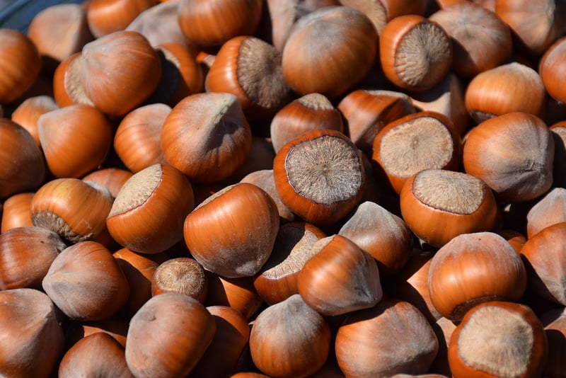 Seed Packets